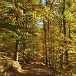 Trifels By Interhome Casa vacanze Annweiler am Trifels