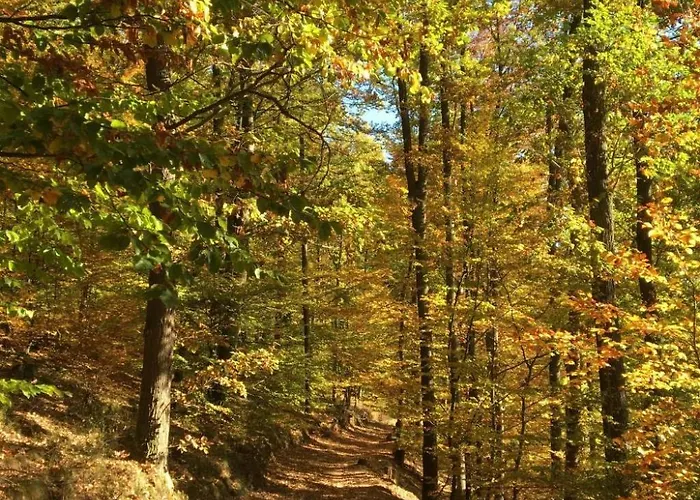 Trifels By Interhome 別荘 アンヴァイラー・アム・トリフェルス